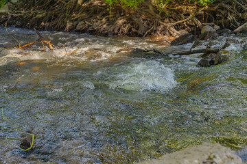 Rapid river. Whirlpools. Waves on the river. Vacations in Poland. Swider River.
