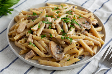 Homemade One-Pot Creamy Chicken Marsala Pasta with Parsley on a Plate, side view. Close-up.