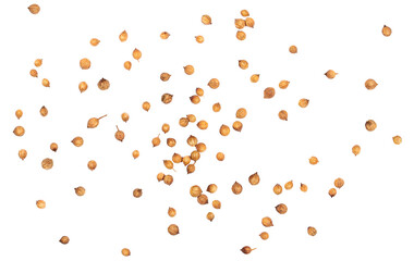 Coriander seeds macro isolated on white, top view 