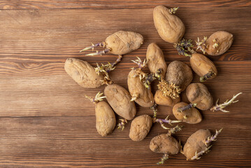 Set of potatoes with sprouts on a wooden table. Sprouted potatoes. Sprouts are part of the natural growth process of potatoes