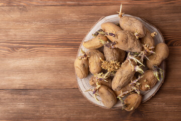 Set of potatoes with sprouts on a wooden table. Sprouted potatoes. Sprouts are part of the natural growth process of potatoes