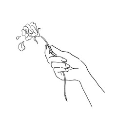 薔薇の花を持つ手の手描き線画イラスト
