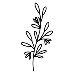 Cute branch with leaves and flowers isolated on white background. Vector hand-drawn illustration in doodle style. Perfect for cards, logo, decorations, various designs. Botanical clipart.