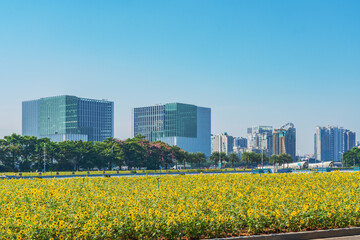 Modern urban architecture, park scenery, and roads in Guangzhou, Guangdong Province, China