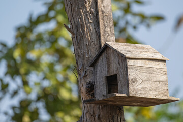 Old wooden bird house