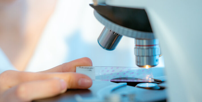 Biological membrane investigation: Microscopes enable studying the str