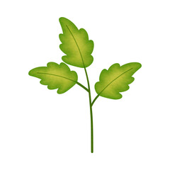 Spiky Green Leaf Watercolor Illustration