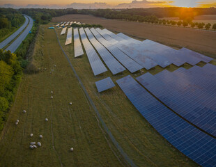 Aerial view of photovoltaics on open spaces with grazing sheeps by evening sun. The solar park...