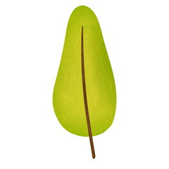 Green Leaf Watercolor Illustration