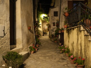 Fototapeta na wymiar Policastrello di notte. Una frazione di San Donato di Ninea (Cs)