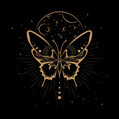 Celestial Magical Animal Butterfly Illustration - 625855951