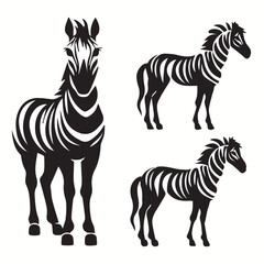 Zorse silhouettes and icons. Black flat color simple elegant Zorse animal vector and illustration.