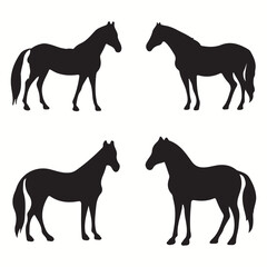 Zorse silhouettes and icons. Black flat color simple elegant Zorse animal vector and illustration.