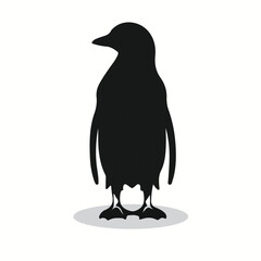 Yellow-Eyed Penguin silhouettes and icons. Black flat color simple elegant Yellow-Eyed Penguin animal vector and illustration.