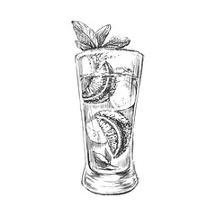 Sketch Mojito Cocktail  Hand Drawn Illustration. Bar. Party