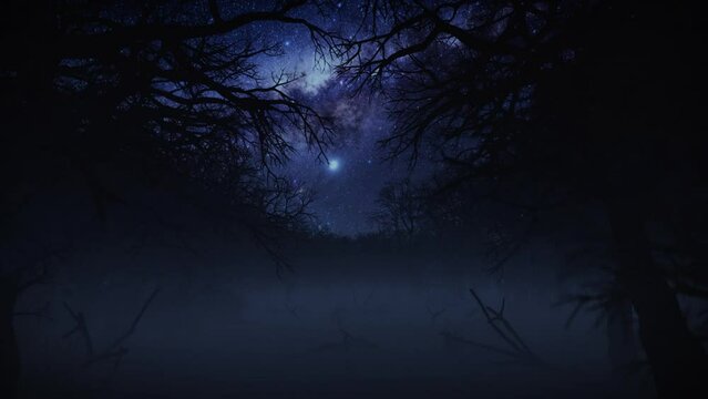 Camera fly through dark foggy horror forest with space for text or logo, Luma Matte attached