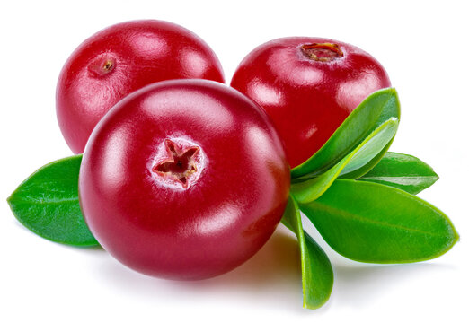 Ripe red cranberries with green leaves on white background. Close-up.