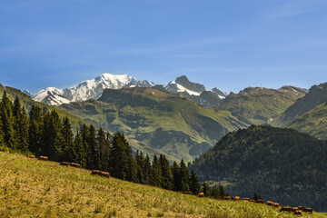 Fototapeta premium Mont-Blanc, seen from Beaufortain