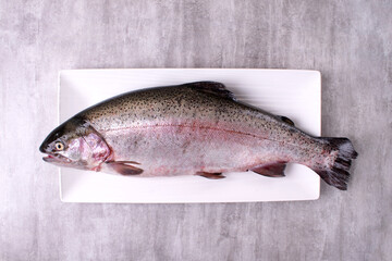 Fresh whole rainbow trout on white plate on gray table. Top view