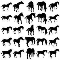 Bundle of assorted horse silhouette illustrations