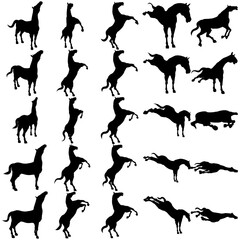 Bundle of assorted horse silhouette illustrations part 3