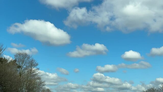 Looking up to the blue sky, white clouds, treetops and direction signs on the gantry above the road while driving on M57 highway towards Southport.