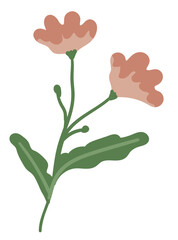 Flourishing flower with leaves and tender petals