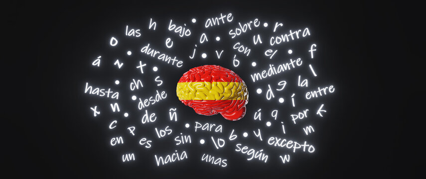 Spanish Learning Foreign language Human brain Spain flag color Website banner Letters articles word preposition vocabulary grammar 3d render. Studying Online course education Listening Reading Fluency