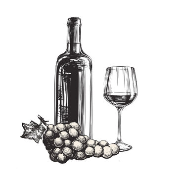 Grapes, Wine Glass, Bottle, Hand Drawn Illustration