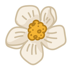 Strawberry flower, spring tree blossom closeup