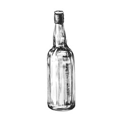 Whiskey Bottle. Hand Drawn Drink Illustration. Booze. 