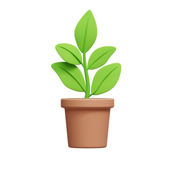 Flower, plant with leaves in pot. Gardening concept. 3D icon. Cartoon style. House plant, Indoor plant. Transparent 3d illustration
