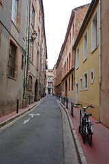 Fototapeta na wymiar Tolouse, viaje a esta ciudad del sur de Francia, de gran importancia y que se caracteriza por el color rojizo de muchas de sus fachadas.