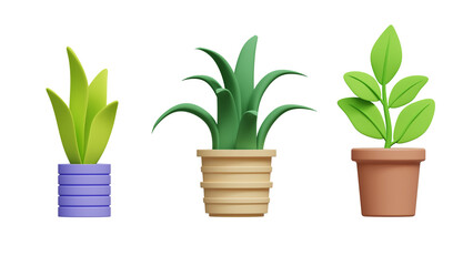 Fototapeta na wymiar Collection of 3d realistic icon illustration potted plants for the interior. Isolated on white background. Transparent 3D illustration