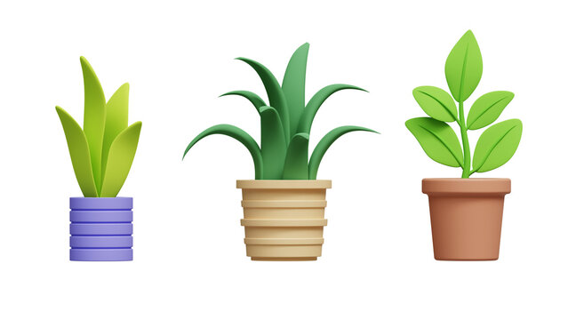 Collection of 3d realistic icon illustration potted plants for the interior. Isolated on white background. Transparent 3D illustration