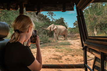 Wildlife safari.Eco travel in the jungle with wild animals elephants.Tropical tourism in the wild...