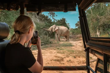 Foto op Aluminium Wildlife safari.Eco travel in the jungle with wild animals elephants.Tropical tourism in the wild life of elephants.Road trip jungle,eco safari.Elephant wild life,safari trip © shintartanya