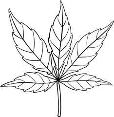 simplicity cannabis leaf freehand drawing