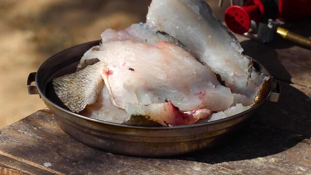 slow orbit around fish filets in a pan