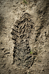 Trace de pas dans la boue