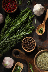 Seasoning and spices, rosemary, concept of seasoning