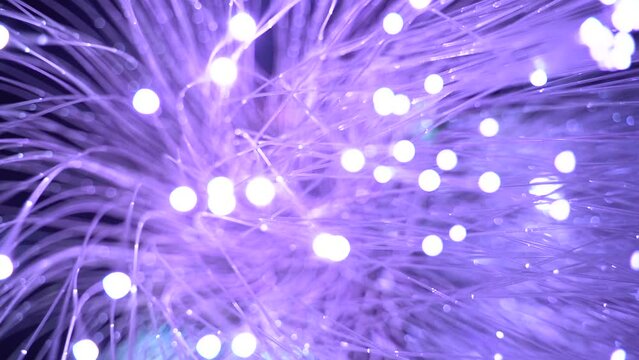 Modern purple color fiberglass lamp in the disco