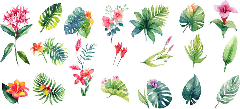 Big set of jungle leaves and flowers. Summer concept.  topical plants on an isolated white background, Leaves and flowers set. watercolor botanical painting. AI generated