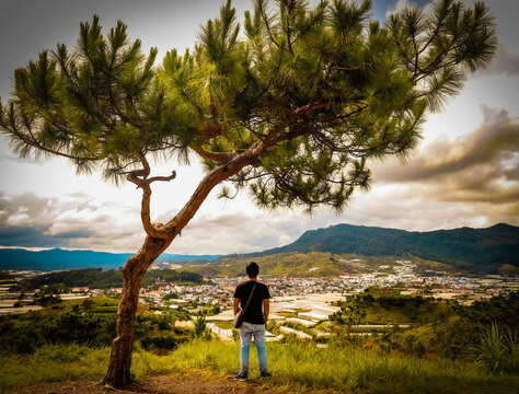 A peaceful view on the hill