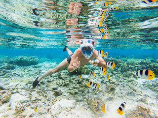 person snorkeling in the blue water sea with many fish around in coral reef