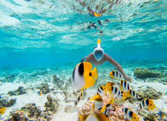 Young men swimming snorkeling in amazing coral reef with colorful fish around in clear sea water 