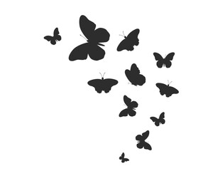 icon butterfly vector design art