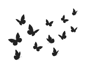 Fototapeta na wymiar black butterfly flock set