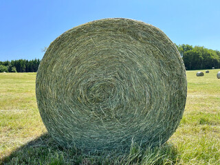 Haylage is grass dried to a humidity of 50-55% and preserved in sealed containers. It is used for feeding cattle and sheep