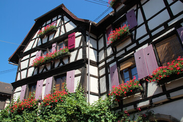 Fototapeta na wymiar half-timbered house in obernai in alsace (france)